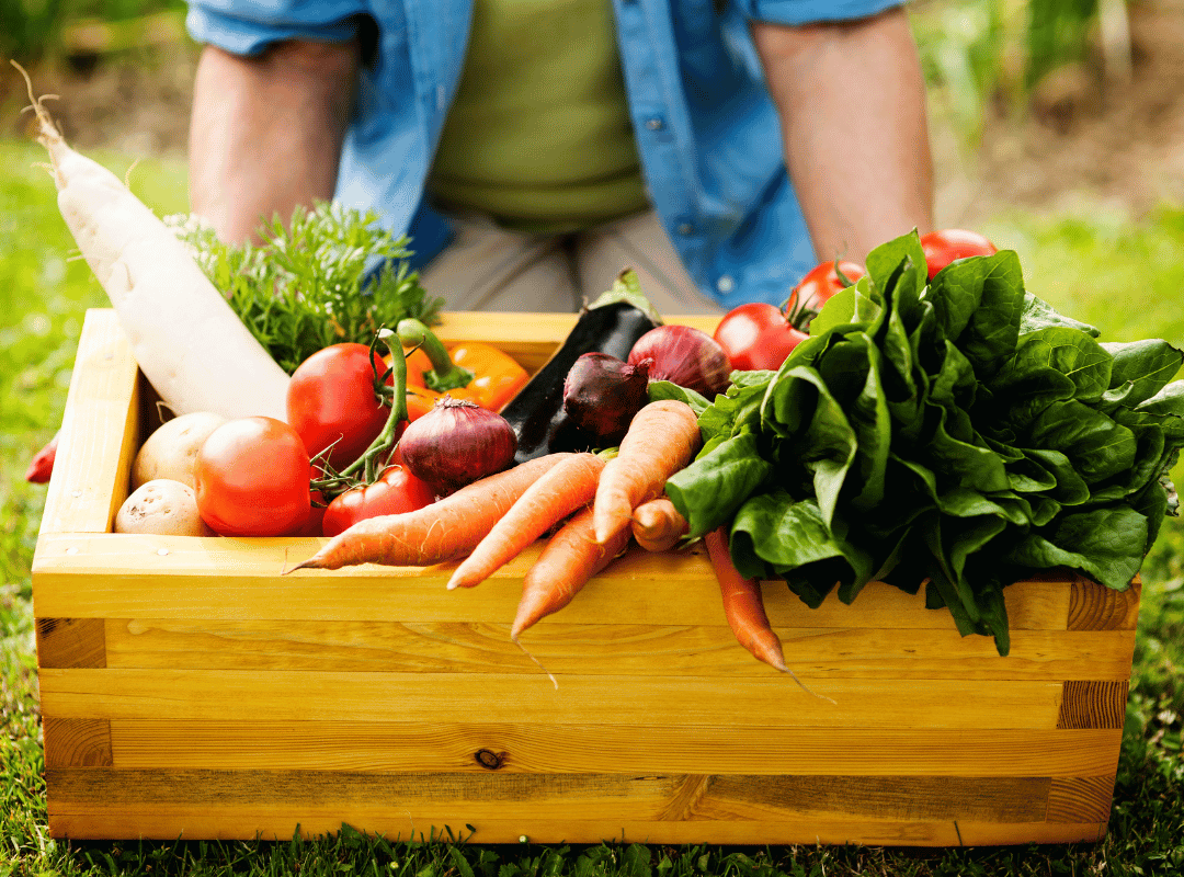 tendência gastronomia alimentos orgânico